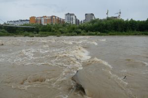 Нажилися на біді